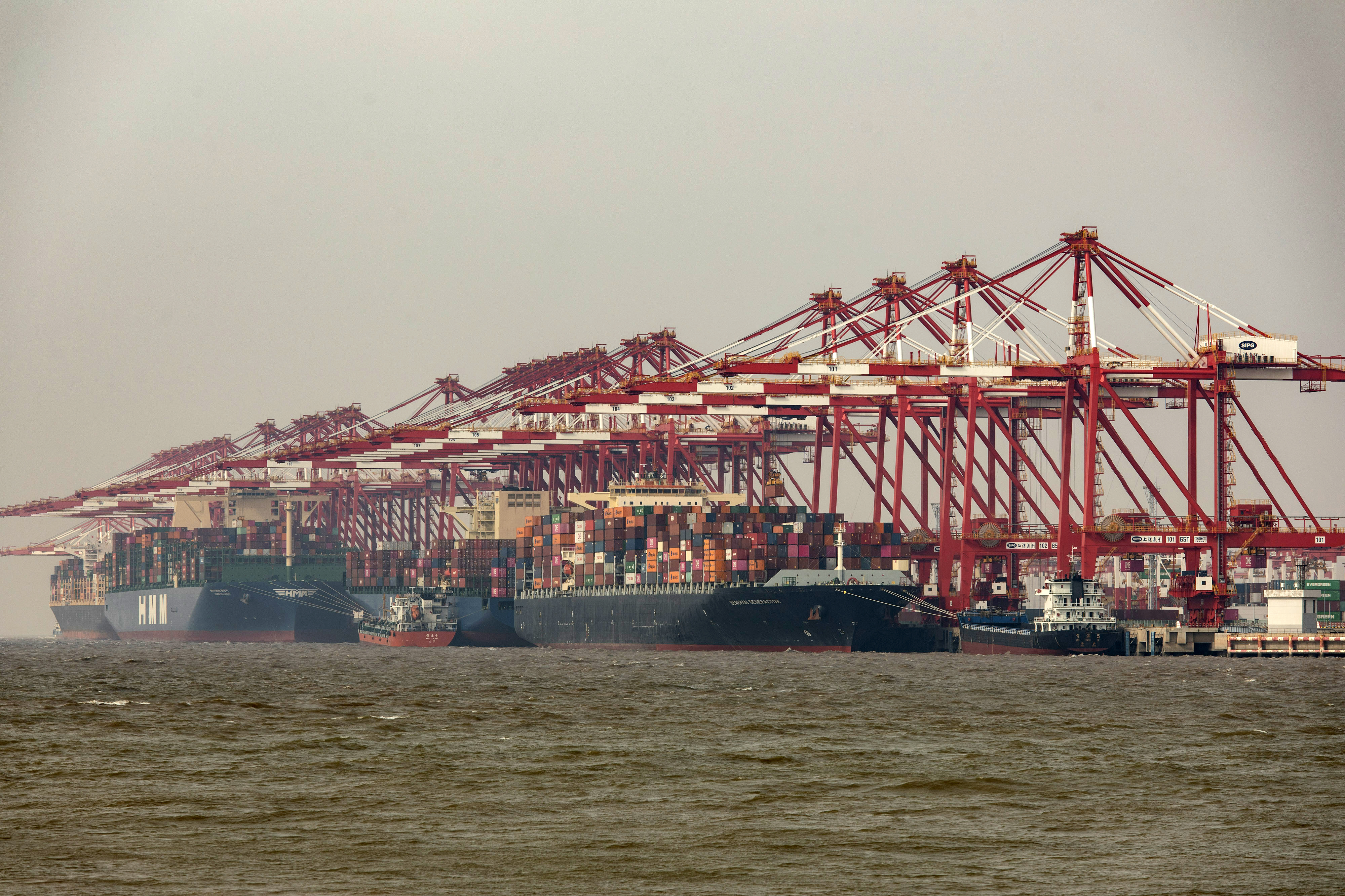 Gantry cranes tower over Yangshan Deepwater Port in Shanghai on Dec. 6. Photo: Bloomberg